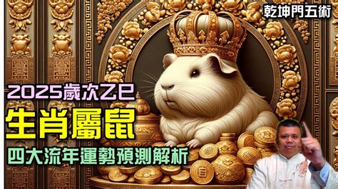 鼠年運勢|鼠年生肖運勢解析｜全面性格分